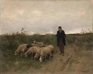 Berger et moutons