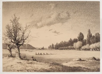 Paysage ouvert avec un bois au loin. Bourgogne