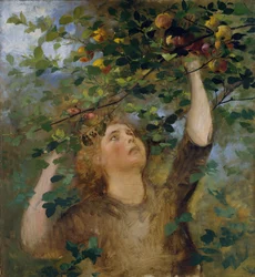 Fille cueillant des pommes