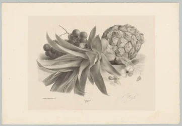 Ananas et raisins (Bloem en Fruit Studien, 10e aflevering)