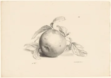 Pomme (série Fruit)