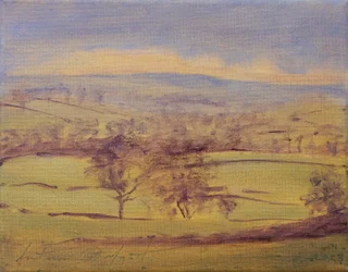 Arbres du Somerset