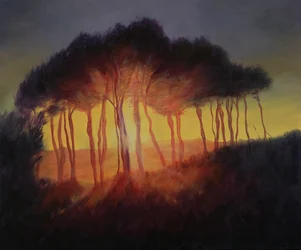 Arbres sauvages au coucher du soleil, 2002
