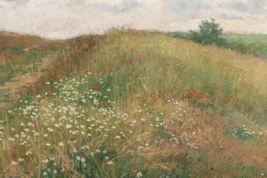 Été, 1897