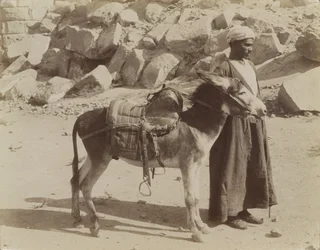 Bourier et Bouriquer, Égypte