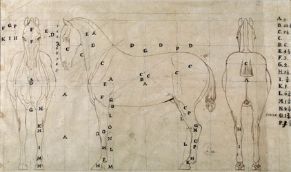 Étude pour un cheval pour un monument équestre
