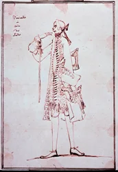 Portrait de Carlo Broschi dit Farinelli (1705-1782) castrat italien