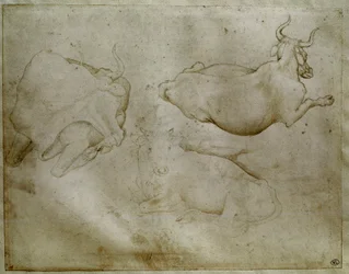 Deux vaches et un genévrier