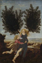 Apollon et Daphné, vers 1470-1480