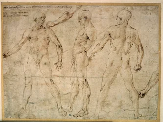 Trois hommes nus. Dessin par Antonio Pollaiuolo