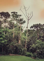 Mantiqueira XLV, 2021 (photo)