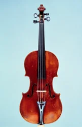 Violon