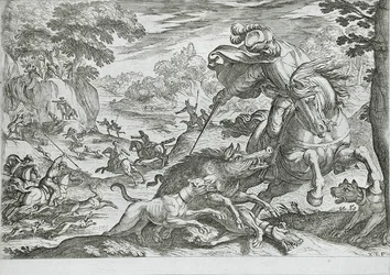 Chasse au sanglier