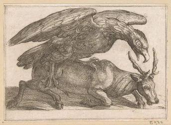 Un grand oiseau attaque un cerf (Animaux combattants)