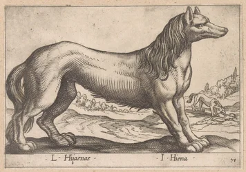 Hyène (série Dieren en fabelwezens, Nova raccolta de li animali piu curiosi del mondo)