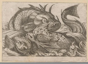 Deux poissons combattants
Animaux combattants (titre de la série)