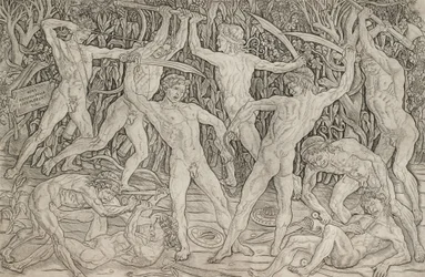 Bataille des nus