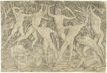 Bataille des nus