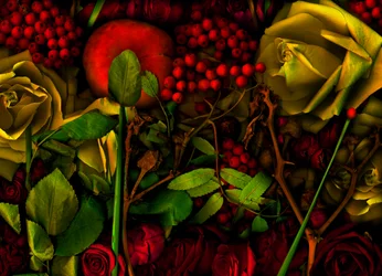 05 jardin magique n°36, 2011 (photo)