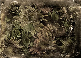 Artfloral no.5-2, 2015 (photo)