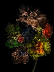 Fleurs 13-1, 2025 (photo)