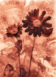 mono fleur