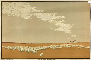 Un troupeau de moutons mérinos - Australie, de la série 
