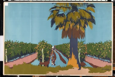 Irrigation des vignes de raisins secs - Australie