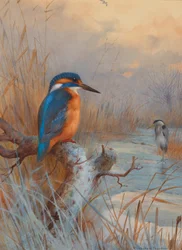 Gelé - Poissons : Martin-pêcheur et héron dans un paysage hivernal (crayon, aquarelle et aquarelle sur papier)