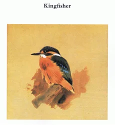 Martin-pêcheur, publié par Book Club Associates, 1972