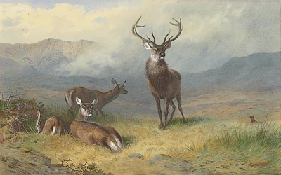 Monarque des Highlands