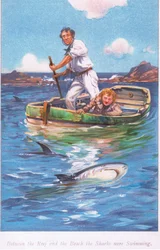 Entre le récif et la plage, les requins nageaient, années 1900