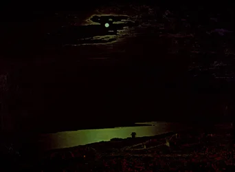 Nuit au clair de lune sur le Dniepr, 1882