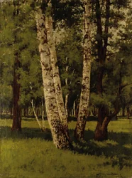 Bouleaux