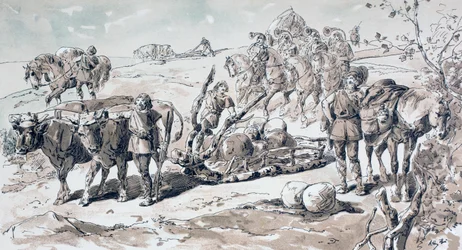 Bœufs tirant un traîneau primitif chargé de rochers, 1886