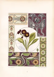 Motifs de primevères et variations d