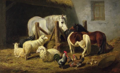 La basse-cour