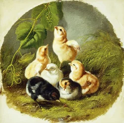 Poussins