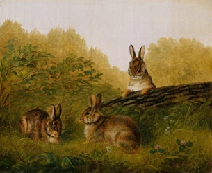 Lapins sur une bûche, 1897