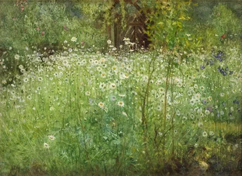 Marguerites et iris