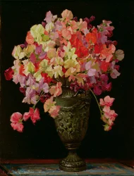 Pois de senteur, Réjouissances estivales, 1930