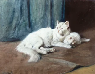 Une chatte persane blanche avec ses chatons