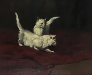 Arthur Heyer Les chatons observent un scarabée