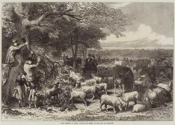 La Défense de Paris, Vaches et Moutons dans le Bois de Boulogne