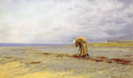 Récolte d