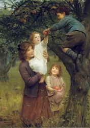 Cueillir des Pommes