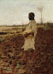 Un semeur égyptien, 1881