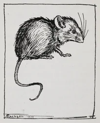 Une souris