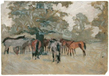 Chevaux sous un arbre