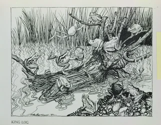 Le Roi Grenouille, illustration de 